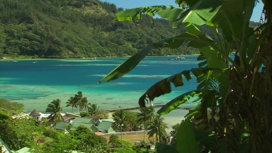 587195094 rikitea ensemble hotelier ocean pacifique sud polynesie francaise