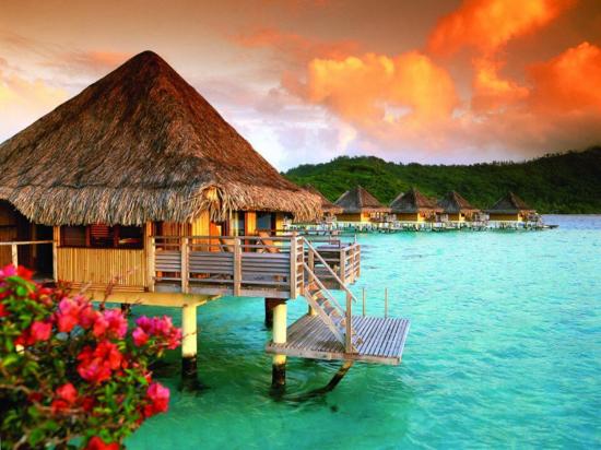 Dreams of tahiti