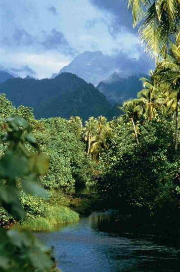 French polynesia tahiti tautira river