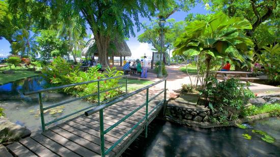 Parc bougainville 65724